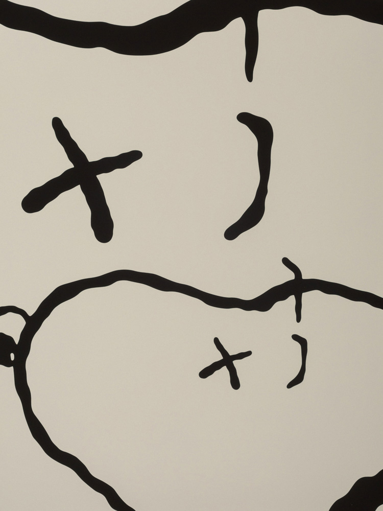 Kaws Artwork