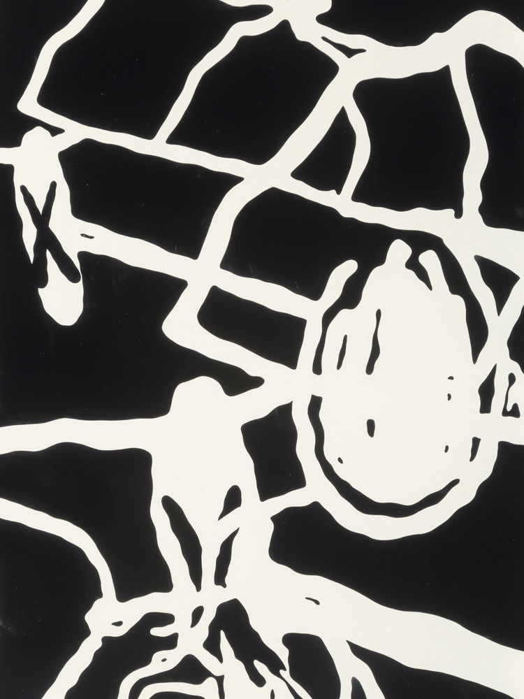 Kaws Artwork