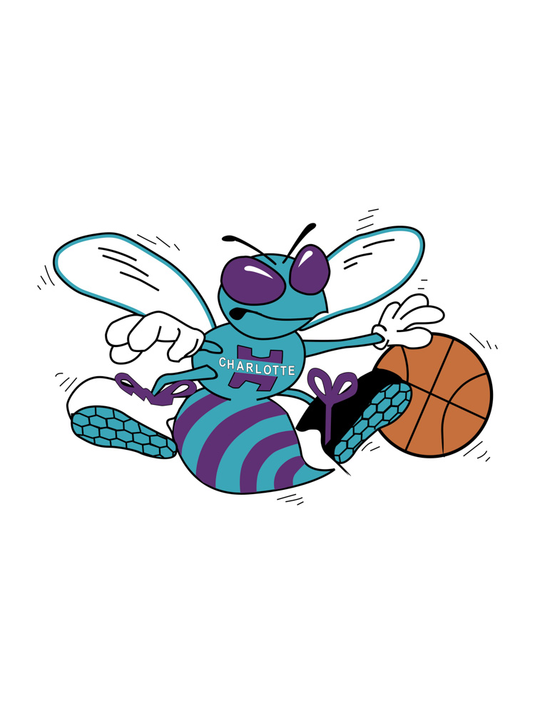 Charlotte Hornets