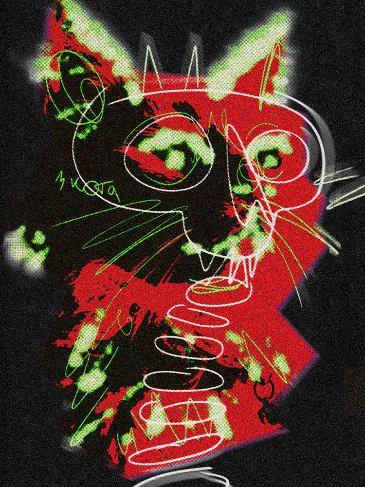 Кошки