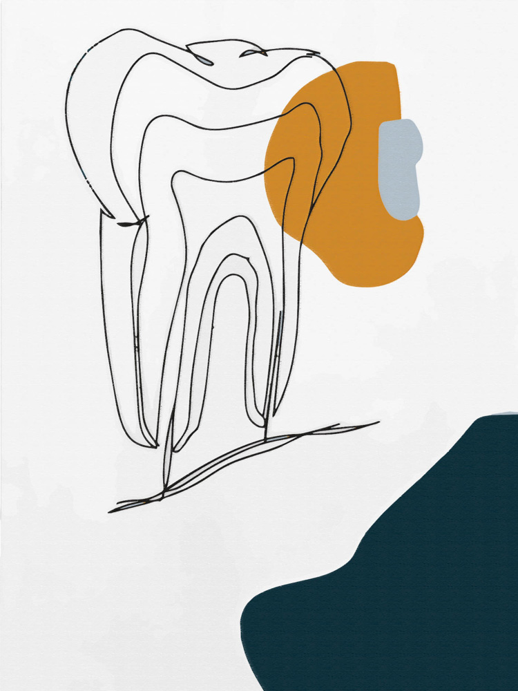 Зубы
