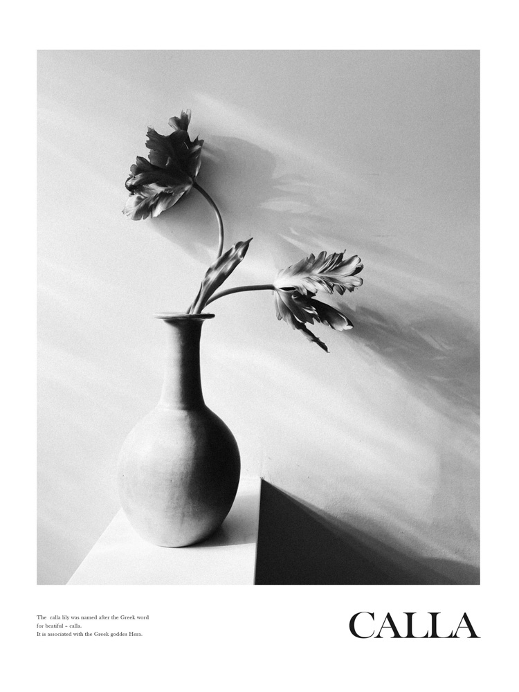 Calla